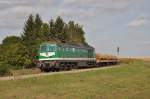 V300 002 -SAGO52- ex 232 405 mit Zug 66240 vom Verladebahnhof Kayna nach Erzbunker am 17.09.2012 bei Raitzhain