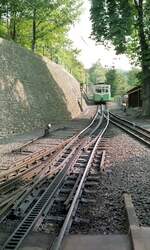 Zahnradbahn Drachenfels__Tw vor der Einfahrt in den Talbhf. Königswinter.__26-09-1987