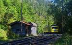 Auf der Talfahrt durchfährt der Beh 4/8 12  Otto von Steinbeis  der Wendelsteinbahn am 05.09.2023 die Kreuzungsstation Aipl