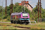 Auf einem Abstellgleis des Bahnhofs Großkorbetha ruhte sich die neue HSL-Jubiläumslok 2019 307-8 (Stadler Euro9000) aus.
Tele-Aufnahme am Ende des Bahnsteigs 2/3.

🧰 Rail Care and Management GmbH (RCM)/European Loc Pool AG (ELP), vermietet an die HSL Logistik GmbH (HSL)
🕓 14.7.2023 | 12:09 Uhr