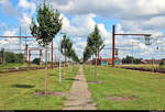 Der (legale) Weg von der Straße Nørregade zum Bahnhof Padborg st (DK) auf der Bahnstrecke Fredericia–Flensburg (KBS 65 (DSB)) ist als Allee mit grüner Wiese angelegt worden.
Links und rechts davon befinden sich die Gleise.
[3.8.2019 | 11:14 Uhr]