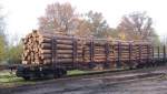 Drehgestell-Tragwagen vom Typ Snps ...  jason_fred 05.03.2011