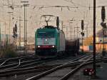 Cobra 186 220 (2828) ...  Mario Sch�rholz 18.11.2011