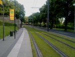 dresden-niederflurwagen-haltestellen-strecken Die leere Haltestelle C�mmerswalder Stra�e am fr�hen Donnerstag Morgen. Aufnahme: 24.06.2010