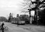 dresden-tatras-museumswagen-und-alles-andere Deutschland - Dresden - Kurz vor Pillnitz, 1985
