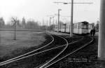 Deutschland - Dresden - Pillnitz, 1985  ...