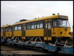 Deutschland - Dresden, weitere ...  Thomas Fehr 06.04.2011
