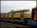 Deutschland - Dresden, weitere ...  Thomas Fehr 10.04.2011