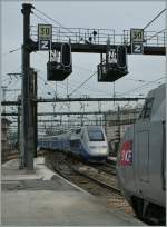 W�hrend der TGV Lyria ...  Stefan Wohlfahrt 31.05.2011