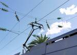 Stromabnehmer unter Palmen: ein ...  ukamp 06.10.2011