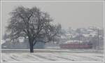 RE1229 mit Ge 4/4 II 615 Klosters bei Malans. (11.03.2010) ...