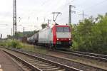 185-CL 005 schl�ngelt sich ...  Jens Baumhauer 18.08.2011