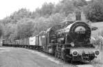55 3345 mit G�terzug ...  Manfred Kopka 13.03.2010