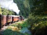 Kuckucksb�hnel im Elmsteiner Tal am 19.09.2010 auf dem R�ckweg nach ...