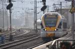 M�nster/Westf., 19.01.2011, ET 5.18 ...  Reinhard Zabel 22.01.2011