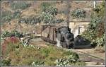 Eritrean Railways steamtrain special mit der kleinen Mallet 440.008 und ihrem Güterzug in Shegerini. (19.01.2019)