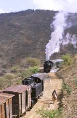 Zugkreutzung nahe der Ortschaft Nefasit. Diese liegt auf ca. 900 m Hhe.

Eritrea, Dez. 2006 (Diascan)