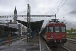 Ein sehr seltener Gast ...  Marvin 09.05.2010