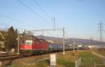 Ein einmaliges Bild.. Der ...  Simon B�tikofer 17.01.2012