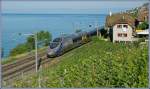 SBB ETR 610 nach Venzia S.L. bei St-Saphorin am 23. ...
