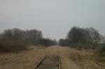 ex-kbs-296-angermunde---bad-freienwalde ex KBS 296 Angerm�nde-Bad Freienwalde, stillgelegt seit 1997, am 08.03.2009 bei L�dersdorf, Blickrichtung Oderberg