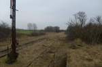 ex-kbs-296-angermunde---bad-freienwalde ex KBS 296 Angerm�nde-Bad Freienwalde, stillgelegt seit 1997, am 08.03.2009 bei L�derdorf von der Verladerampe, Blickrichtung Oderberg