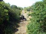 ex KBS 296 Angerm�nde-Bad Freienwalde, stillgelegt seit 1997, am 20.08.2009, ...