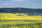 Mit nur einem Wagen ...  R�diger Ulrich 05.06.2010