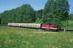 In der Steigung zwischen ...  R�diger Ulrich 06.06.2010