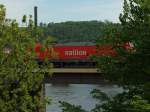 Sie versucht sich zu verstecken..Koblenz 5.5.2010  ...