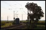 Ein Mannheimer Rundsch�del f�hrt am 06. September 2010 auf den ...