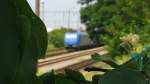 Neue gr�ne Bahnen? Mal ...  Alexander Wiemer 08.08.2011