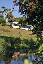 Die RABe 526 787-7 ...  Florian H�bscher 28.01.2010