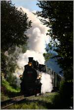 Eisenbahnfest im Feistritztal – ...  Leitner Thomas 09.11.2011