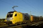 182 523  bei ...  Hansj�rg Brutzer 05.10.2010