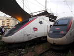 Hier stehen zwei TGV Duplex mit einer Carmillon Lackierung im Bahnhof Paris Gare de Lyon.