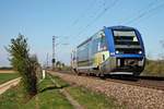 Als IRE (Freiburg (Brsg) Hbf - Mulhouse Ville) fuhr am Nachmittag des 07.04.2017 der SNCF TER Alsace X73909 bei Hügelheim seinem nächsten/ersten Zwischenhalt in Müllheim (Baden) entgegen.