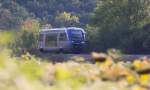 ber dem Sonnenblumenfeld: Walfisch 73626 als RE 71208 der TER/SNCF auf dem Weg von Toulouse nach Figeac in der Nhe von Lexos (25.09.2013)