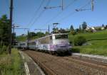 BB 25 254 mit TER Lyon - Genve in Russin (Schweiz) am 5.