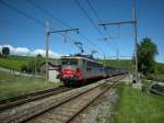 Da die fnf Bem 550 fr den erweiterten und bis Bellegarde (Ain) ausgedehnt Lokalverkehr nicht ausreichen, hat die SBB von der SNCF diese BB 25 550 und die dazu passenden Wagen gemietet. Regionalzug 96751/53 am 5. August 2008 bei der Ankunft in Russin.