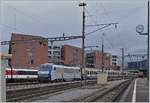 Leider etwas ungeschickt stand die SNCF BB 26 147 (UIC 91 87 0026147-5 F-SNCF) mit ihrem TER Basel/Bâle.