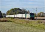 Bahn im Elsass. FRETchen 37046 fhrt von Mlhausen Richtung Basel. Das fahle Licht con Saharasand und Portugalasche sorgt fr einen satten Gelbstich. Bartenheim, Oktober 2017.