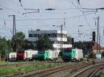 E37-Parade am 02.August 2014 in Grokorbetha. E37 041 rechts, E37 012 in der Mitte und E37 519 links.