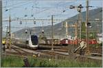 Weil es, wie ich finde so faszinierend ist, noch einmal ein Bild des TGV mit einem Semaphor Signalen; der TGV Lyra 4411 steht im Rangierbahnhof Biel und wird gegen zehn Uhr als Leermaterialzug nach Bern fahren. 

24. April 2019