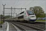 Der TGV 4411 scheint noch nicht ganz sicher zu sein welches Farbkleid er tragen soll. TGV Lyria 9269 von Paris nach Lausanne bei Vufflens la Ville.
28. April 2014