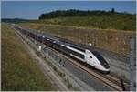 Der TGV 9880 (Rame 813) von Luxembourg nach Montpelier verlässt Belfort Montbéliard TGV. 

23. Juli 2019