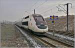 Der TGV 822 mit den Triebköpfen 310244 (führend) und 310243 (schiebend) erreicht Belfort-Montbéliard TGV.