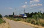 SNCF ET 81615 kam mir am 11.06.2015 kurz vor Senas südlich von Avignon vor die Kamera.