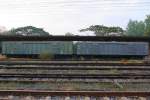 B.C.G. 25027 und 25141 im Bf. Den Chai am 09.J�n.2010. ...
