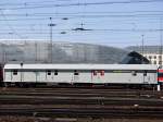 Gep�ck- und Fahrradwagen (34 Photos)